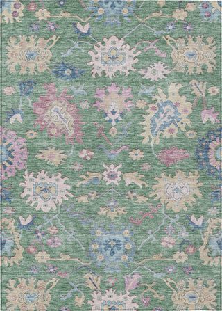Piper Looms Chantille Global ACN1154 Sage Machine Washable Area Rug main image