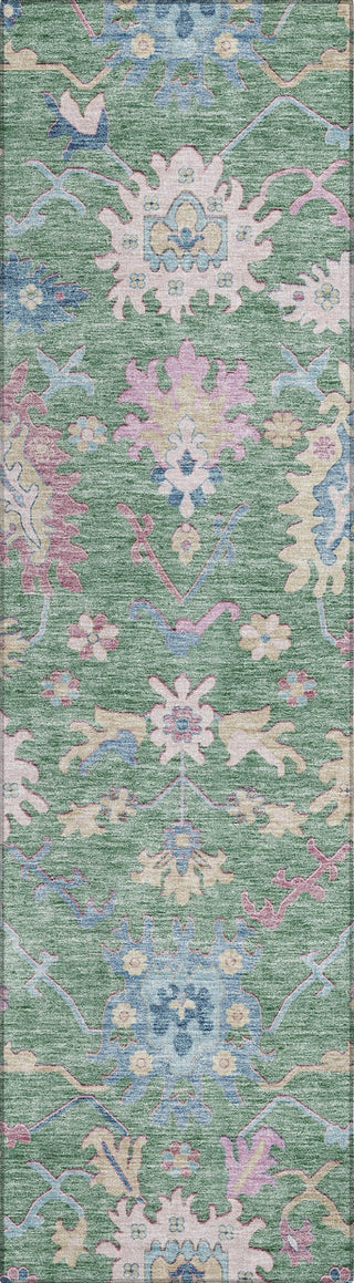 Piper Looms Chantille Global ACN1154 Sage Machine Washable Area Rug Runner Main Image