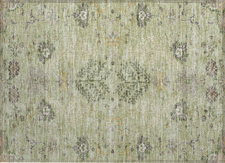 Piper Looms Chantille Floral ACN1156 Aloe Machine Washable Area Rug Scatter Main Image
