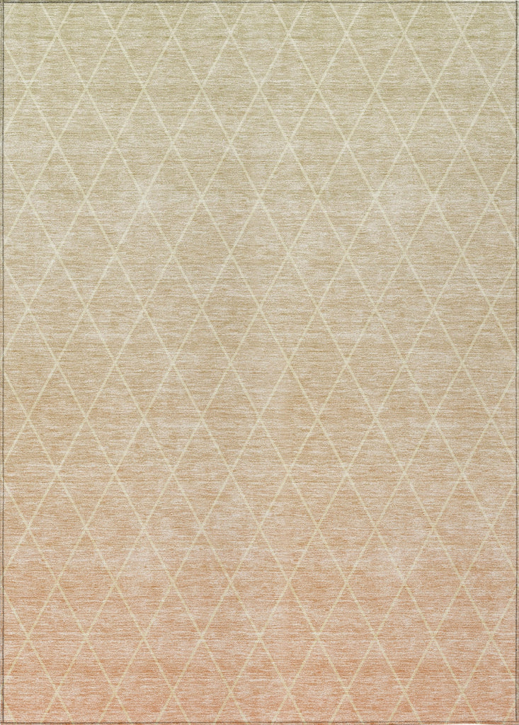 Piper Looms Chantille Geometric ACN1175 Salmon Machine Washable Area Rug main image