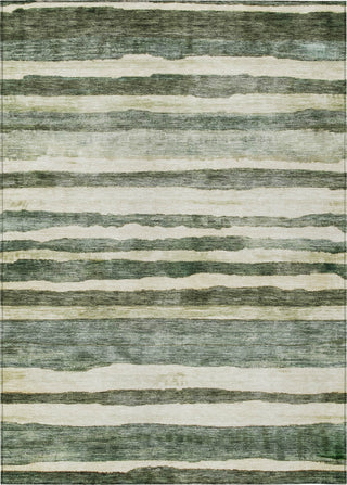Piper Looms Chantille Stripes ACN1191 Sage Machine Washable Area Rug main image