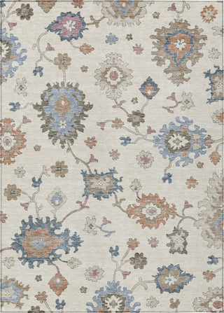 Piper Looms Chantille Global ACN1218 Ivory Machine Washable Area Rug main image