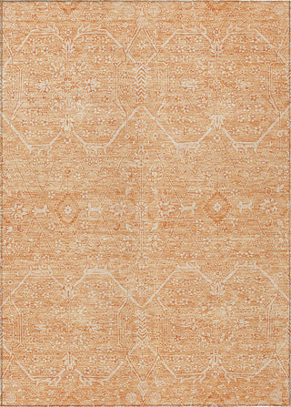 Piper Looms Chantille Panel ACN1224 Salmon Machine Washable Area Rug main image