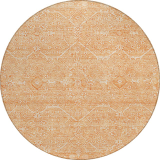 Piper Looms Chantille Panel ACN1224 Salmon Machine Washable Area Rug Round Main Image