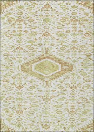 Piper Looms Chantille Medallion ACN1225 Ivory Machine Washable Area Rug main image