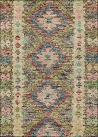 Piper Looms Chantille Global ACN1226 Green Machine Washable Area Rug main image