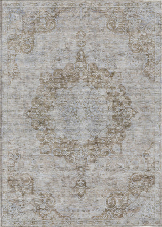 Piper Looms Chantille Global ACN1238 Chocolate Machine Washable Area Rug main image