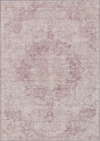 Piper Looms Chantille Global ACN1238 Pink Machine Washable Area Rug main image