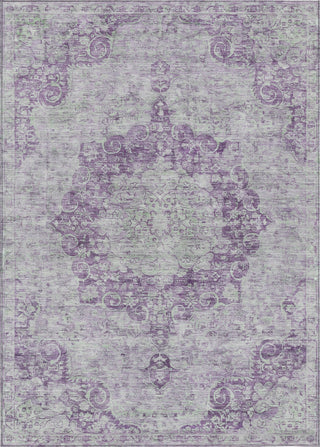 Piper Looms Chantille Global ACN1238 Purple Machine Washable Area Rug main image