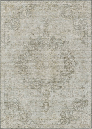 Piper Looms Chantille Global ACN1238 Putty Machine Washable Area Rug main image