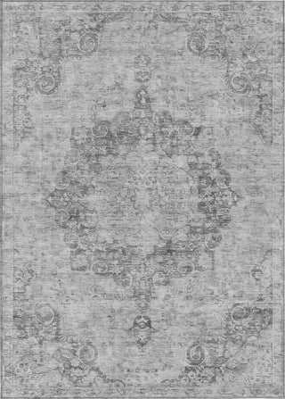 Piper Looms Chantille Global ACN1238 Silver Machine Washable Area Rug main image