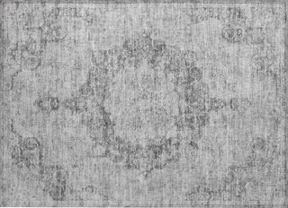 Piper Looms Chantille Global ACN1238 Silver Machine Washable Area Rug Scatter Main Image