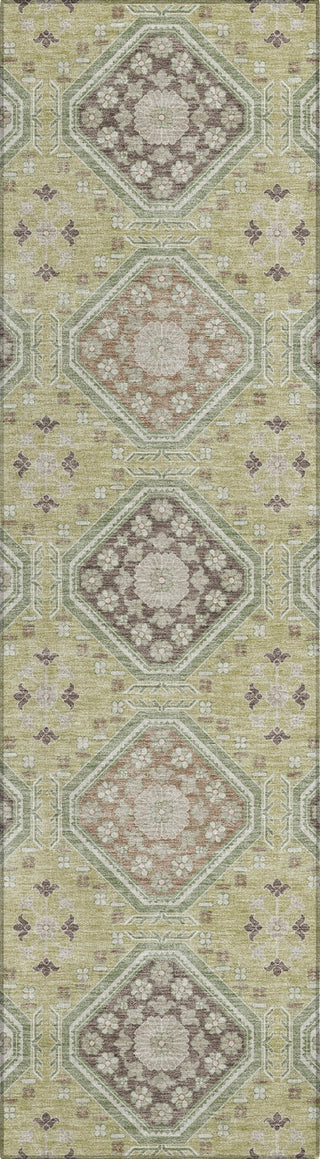 Piper Looms Chantille Formal ACN1442 Aloe Machine Washable Area Rug Runner Main Image