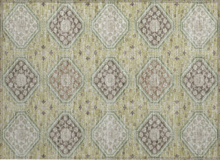 Piper Looms Chantille Formal ACN1442 Aloe Machine Washable Area Rug Scatter Main Image