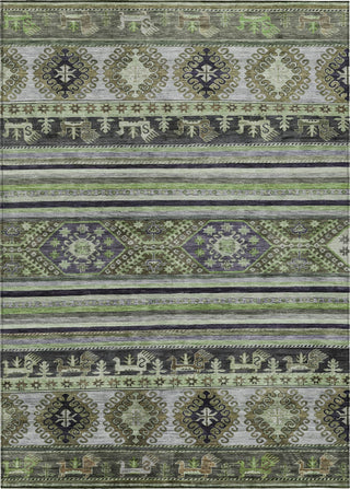 Piper Looms Chantille Global ACN1626 Fern Machine Washable Area Rug main image