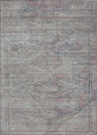 Piper Looms Chantille Global ACN1631 Pewter Machine Washable Area Rug main image