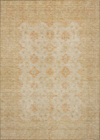Piper Looms Chantille Global ACN1643 Beige Machine Washable Area Rug main image