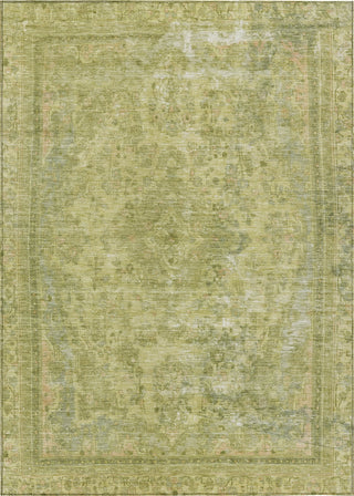 Piper Looms Chantille Global ACN1646 Cactus Machine Washable Area Rug main image
