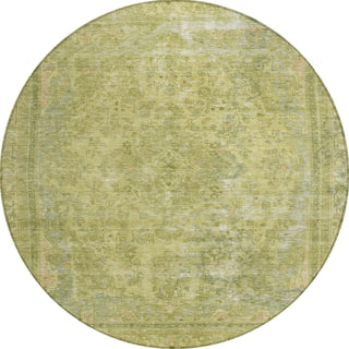 Piper Looms Chantille Global ACN1646 Cactus Machine Washable Area Rug Round Main Image