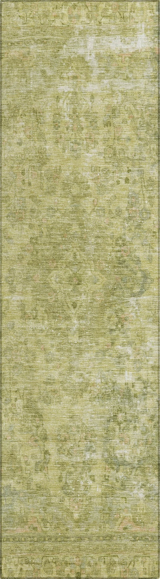Piper Looms Chantille Global ACN1646 Cactus Machine Washable Area Rug Runner Main Image
