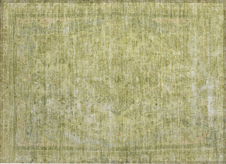 Piper Looms Chantille Global ACN1646 Cactus Machine Washable Area Rug Scatter Main Image