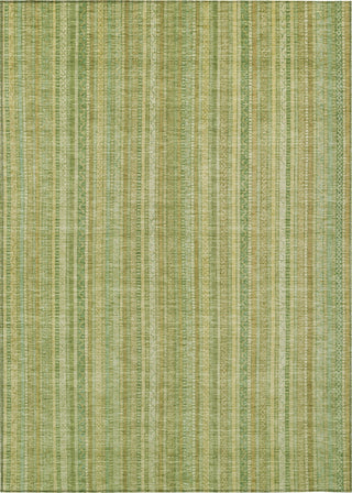 Piper Looms Chantille Stripes ACN1655 Aloe Machine Washable Area Rug main image