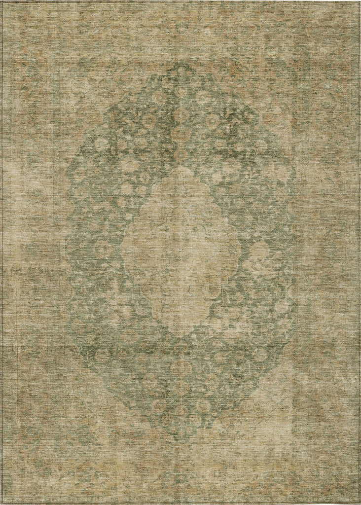 Piper Looms Chantille Global ACN1657 Aloe Machine Washable Area Rug main image