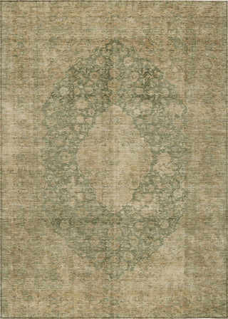 Piper Looms Chantille Global ACN1657 Aloe Machine Washable Area Rug main image