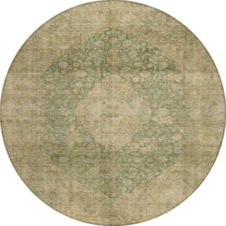 Piper Looms Chantille Global ACN1657 Aloe Machine Washable Area Rug Round Main Image