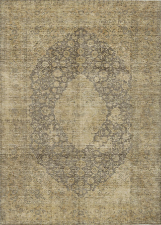 Piper Looms Chantille Global ACN1657 Brown Machine Washable Area Rug main image
