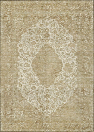 Piper Looms Chantille Global ACN1657 Ivory Machine Washable Area Rug main image