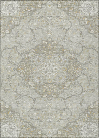 Piper Looms Chantille Medallion ACN1677 Taupe Machine Washable Area Rug main image