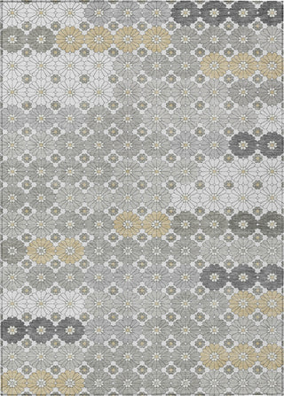 Piper Looms Chantille Geometric ACN1678 Gray Machine Washable Area Rug main image