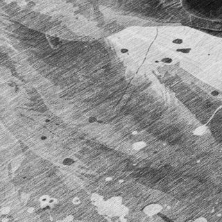 Piper Looms Chantille Animal ACN1719 Gray Machine Washable Area Rug Swatch Image