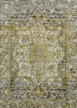 Piper Looms Chantille Global ACN1728 Pewter Machine Washable Area Rug main image