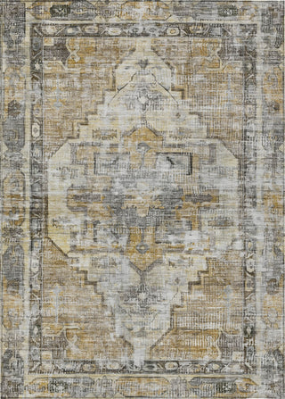 Piper Looms Chantille Global ACN1729 Brown Machine Washable Area Rug main image