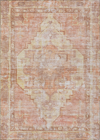 Piper Looms Chantille Global ACN1729 Terracotta Machine Washable Area Rug main image