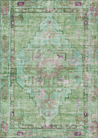 Piper Looms Chantille Global ACN1730 Aloe Machine Washable Area Rug main image