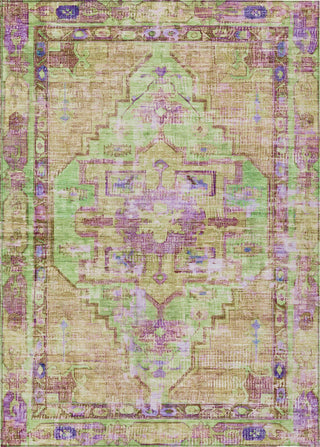 Piper Looms Chantille Global ACN1730 Lime Machine Washable Area Rug main image