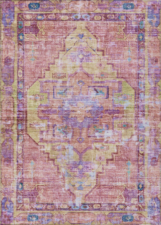 Piper Looms Chantille Global ACN1730 Pink Machine Washable Area Rug main image