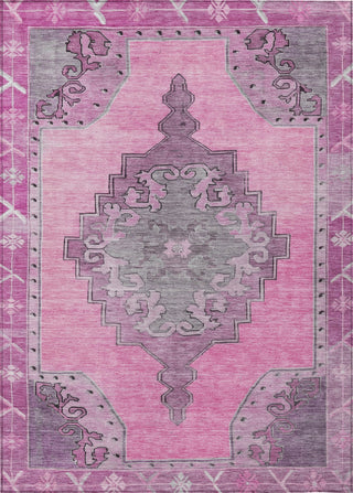 Piper Looms Chantille Global ACN1731 Pink Machine Washable Area Rug main image