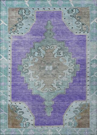 Piper Looms Chantille Global ACN1731 Purple Machine Washable Area Rug main image