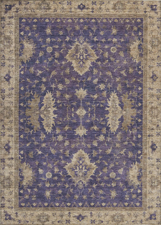 Piper Looms Chantille Border ACN1739 Purple Machine Washable Area Rug main image