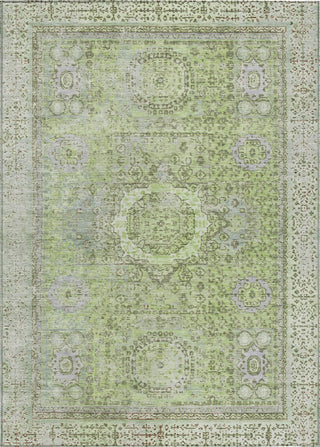 Piper Looms Chantille Border ACN1740 Aloe Machine Washable Area Rug main image