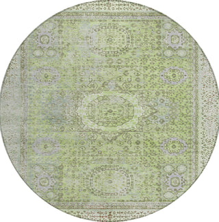 Piper Looms Chantille Border ACN1740 Aloe Machine Washable Area Rug Round Main Image