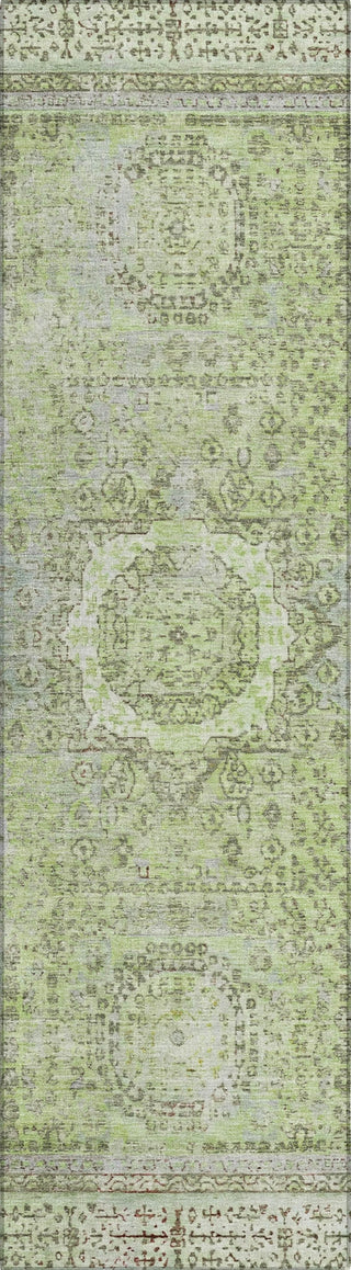 Piper Looms Chantille Border ACN1740 Aloe Machine Washable Area Rug Runner Main Image