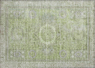 Piper Looms Chantille Border ACN1740 Aloe Machine Washable Area Rug Scatter Main Image