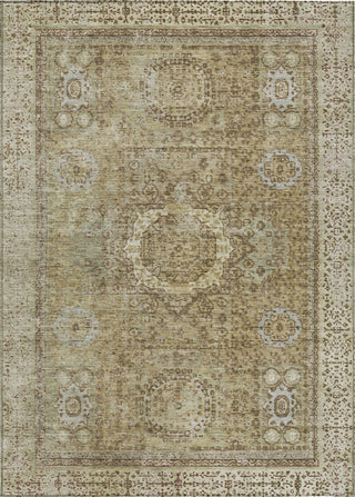 Piper Looms Chantille Border ACN1740 Brown Machine Washable Area Rug main image