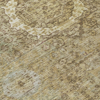 Piper Looms Chantille Border ACN1740 Brown Machine Washable Area Rug Swatch Image