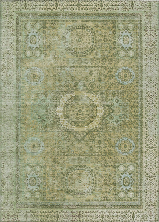 Piper Looms Chantille Border ACN1740 Sage Machine Washable Area Rug main image
